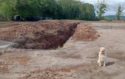 Steve Reed's dog, Nora inspecting the works as the new reservoir takes shape